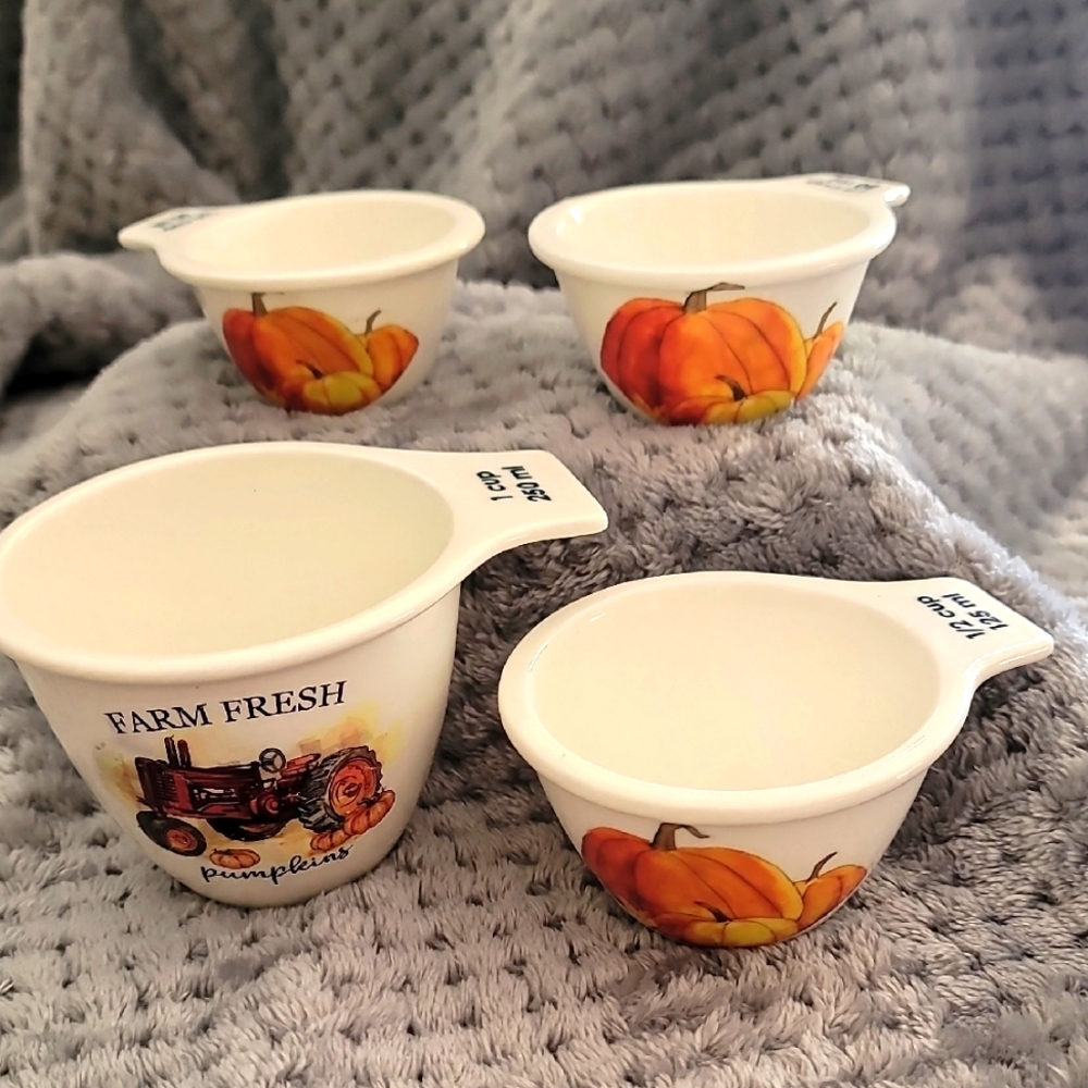 Farm Fresh Pumpkin Measuring Cups Set